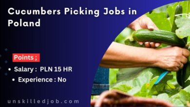 Cucumbers Picking Jobs in Poland
