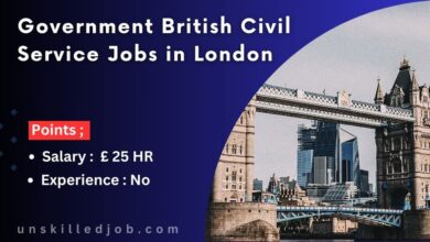 Government British Civil Service Jobs in London