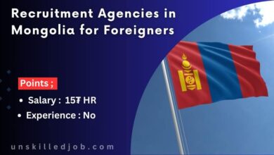 Recruitment Agencies in Mongolia for Foreigners