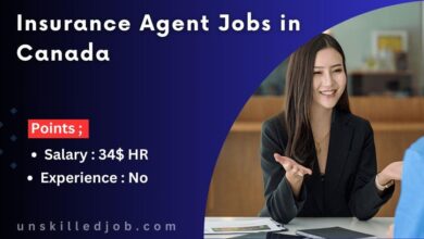 Insurance Agent Jobs in Canada