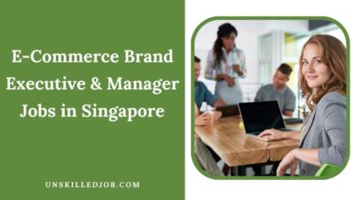 E-Commerce Brand Executive & Manager Jobs in Singapore