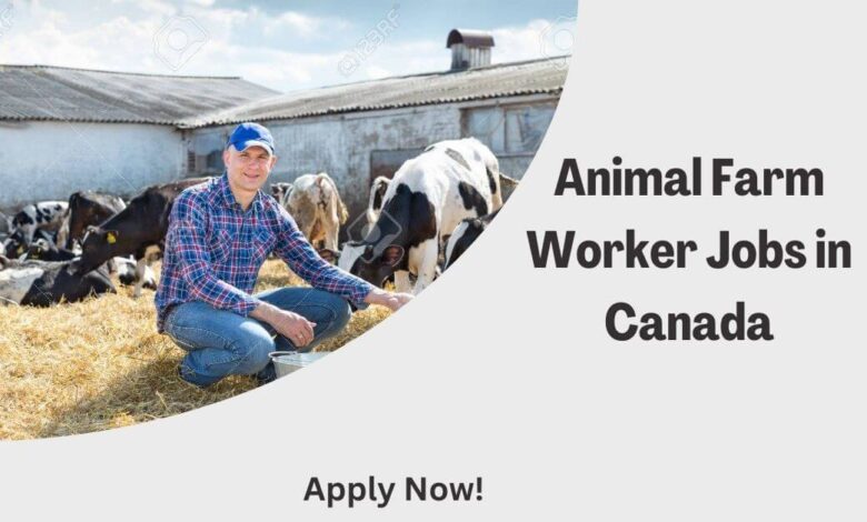 Animal Farm Worker Jobs in Canada