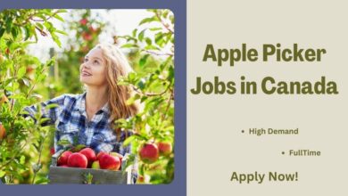 Apple Picker Jobs in Canada