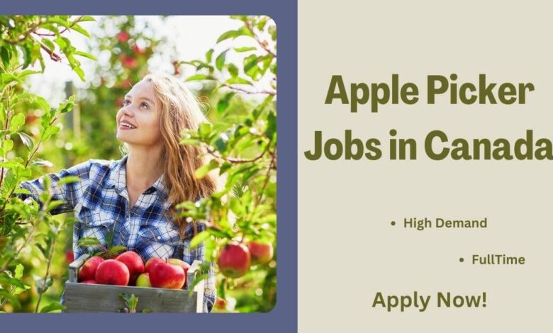 Apple Picker Jobs in Canada