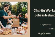 Charity Worker Jobs in Ireland