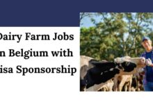 Dairy Farm Jobs in Belgium with Visa Sponsorship