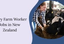 Dairy Farm Worker Jobs in New Zealand
