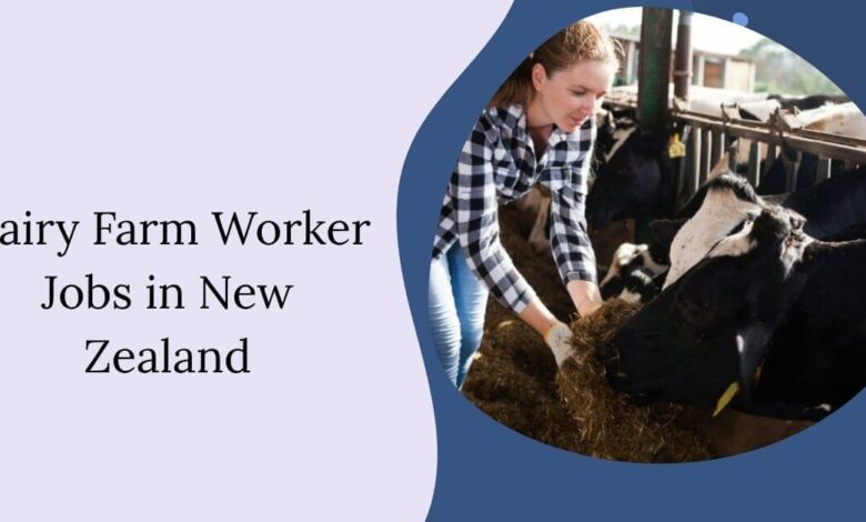 Dairy Farm Worker Jobs in New Zealand