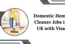 Domestic Home Cleaner Jobs in UK with Visa