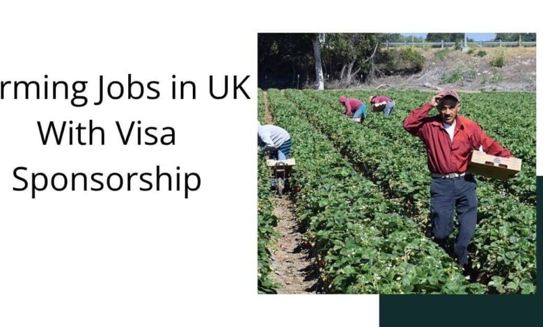 Farming Jobs in UK With Visa Sponsorship