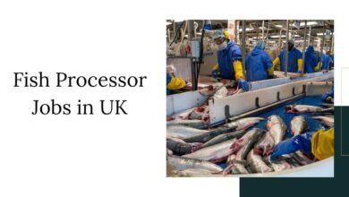 Fish Processor Jobs in UK