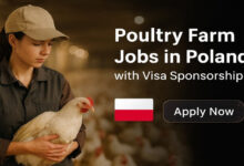 Poultry Farm Jobs in Poland with Visa Sponsorship