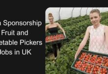 Visa Sponsorship Fruit and Vegetable Pickers Jobs in UK