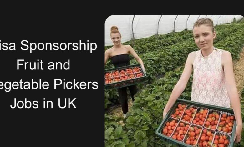 Visa Sponsorship Fruit and Vegetable Pickers Jobs in UK