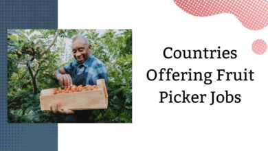 Countries Offering Fruit Picker Jobs
