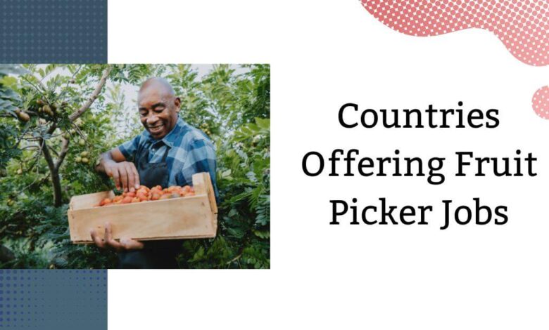Countries Offering Fruit Picker Jobs