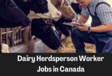 Dairy Herdsperson Worker Jobs in Canada