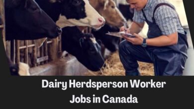 Dairy Herdsperson Worker Jobs in Canada