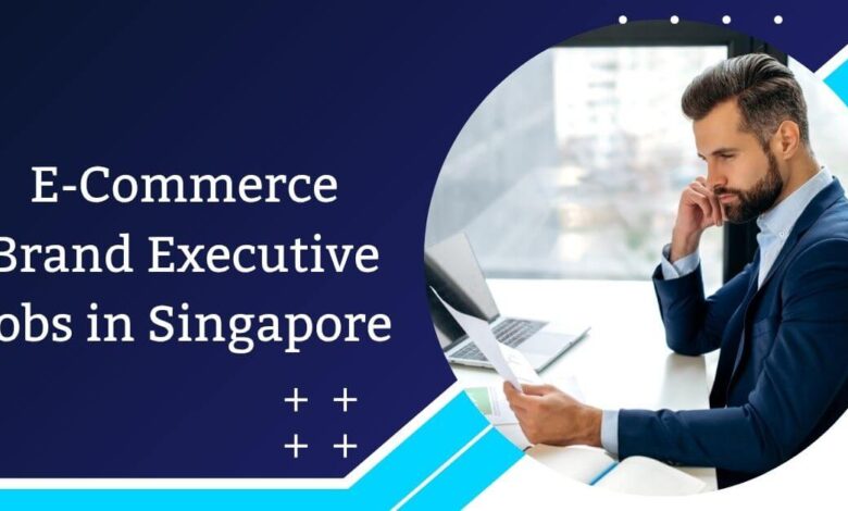 E-Commerce Brand Executive Jobs in Singapore