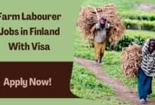 Farm Labourer Jobs in Finland With Visa