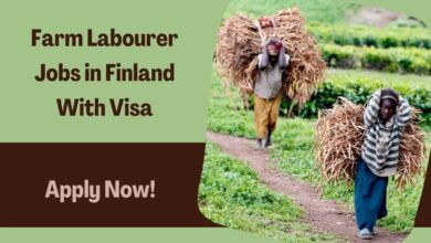 Farm Labourer Jobs in Finland With Visa