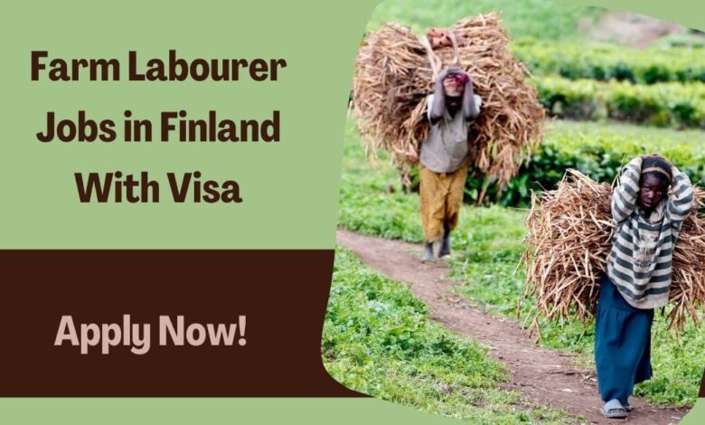 Farm Labourer Jobs in Finland With Visa
