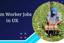 Farm Worker Jobs in UK