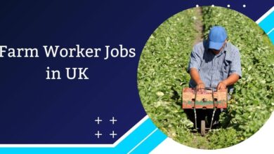 Farm Worker Jobs in UK