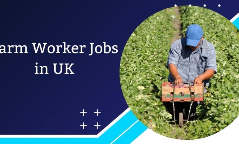 Farm Worker Jobs in UK