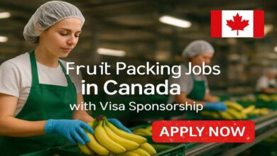 Fruit Packing Jobs in Canada with Visa Sponsorship
