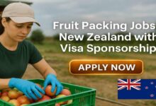Fruit Packing Jobs in New Zealand with Visa Sponsorship