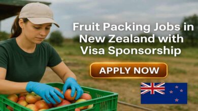 Fruit Packing Jobs in New Zealand with Visa Sponsorship