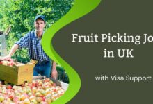 Fruit Picking Jobs in UK