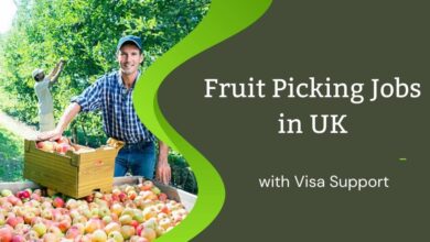 Fruit Picking Jobs in UK