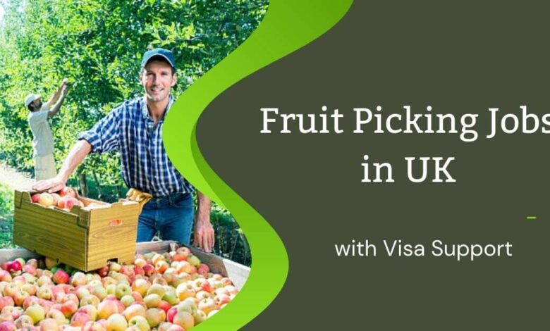 Fruit Picking Jobs in UK