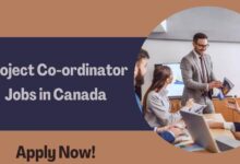 Project Co-ordinator Jobs in Canada