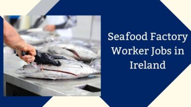 Seafood Factory Worker Jobs in Ireland