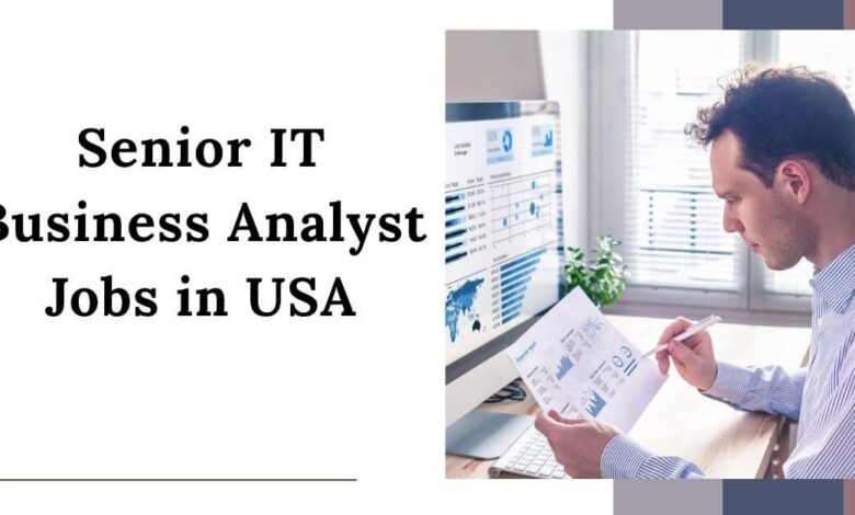 Senior IT Business Analyst Jobs in USA
