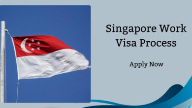 Singapore Work Visa Process