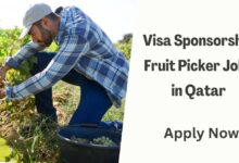 Visa Sponsorship Fruit Picker Jobs in Qatar