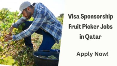 Visa Sponsorship Fruit Picker Jobs in Qatar