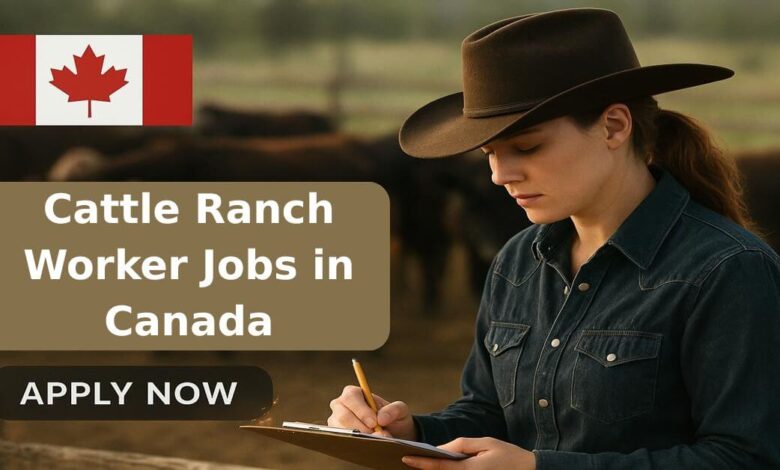 Cattle Ranch Worker Jobs in Canada