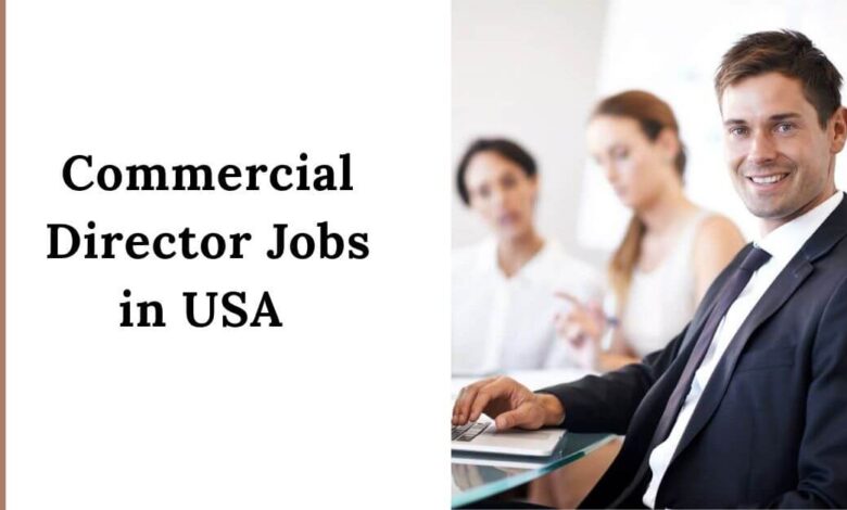 Commercial Director Jobs in USA