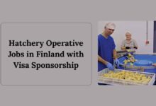 Hatchery Operative Jobs in Finland with Visa Sponsorship