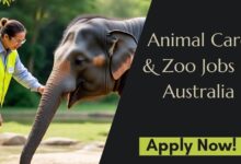 Animal Care & Zoo Jobs in Australia