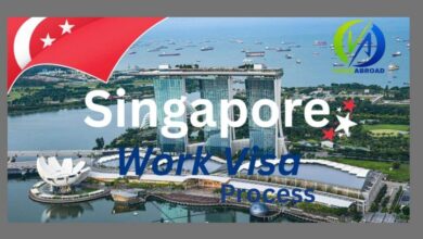 Singapore Work Visa Process