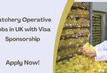 Hatchery Operative Jobs in UK with Visa Sponsorship