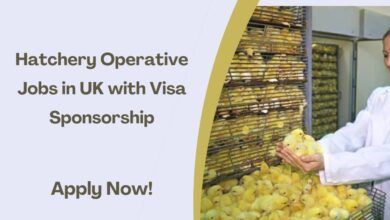 Hatchery Operative Jobs in UK with Visa Sponsorship
