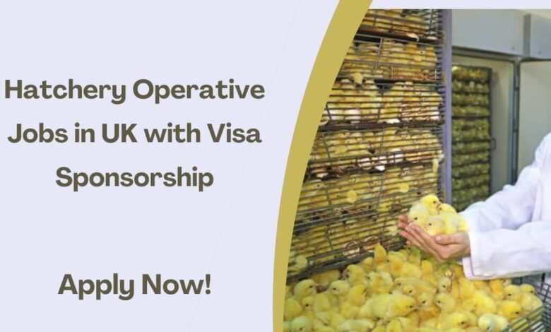 Hatchery Operative Jobs in UK with Visa Sponsorship