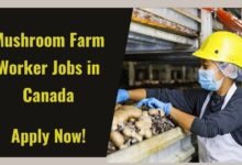Mushroom Farm Worker Jobs in Canada